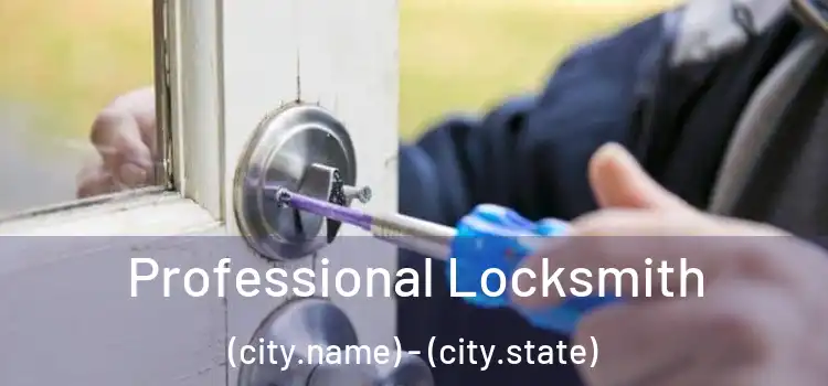  Professional Locksmith (city.name) - (city.state)